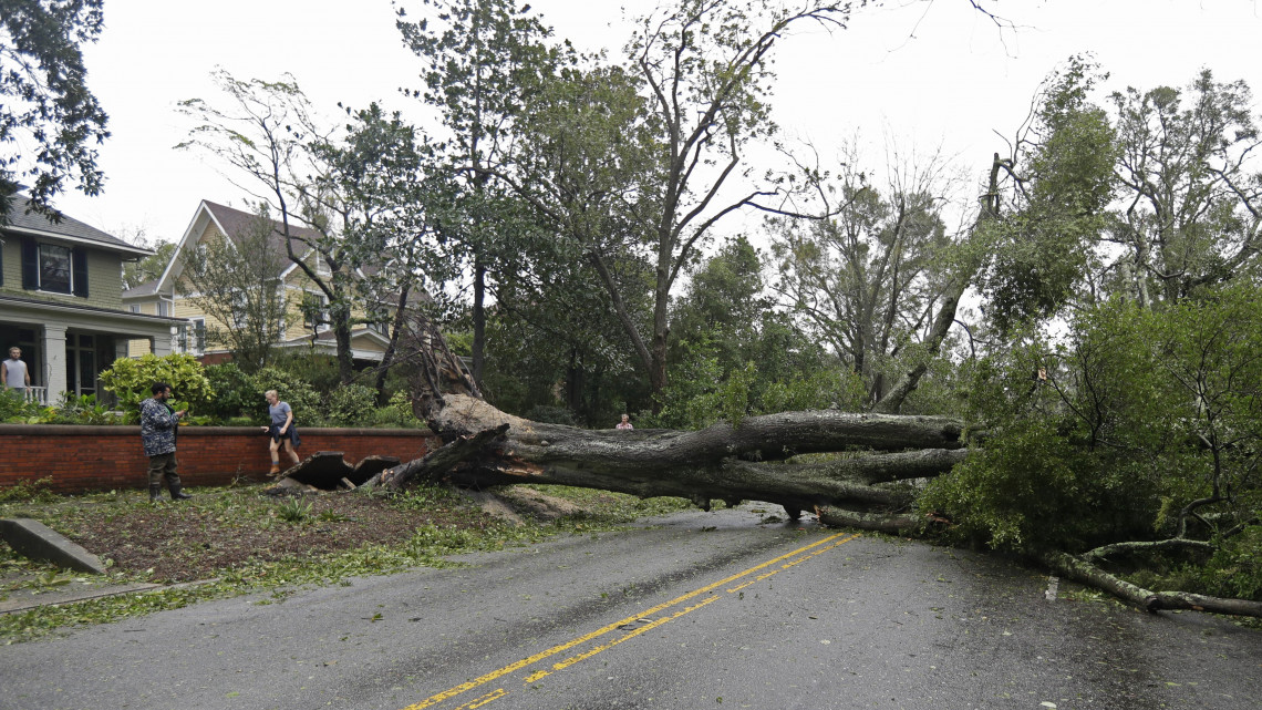 Wilmington, 2018. szeptember 14.Úttestre dőlt fa a Florence hurrikán sújtotta észak-karolinai Wilmingtonban 2018. szeptember 14-én. Az Atlanti-óceán felől érkező trópusi vihar a szövetségi állam belseje felé halad. (MTI/AP/Chuck Burton)