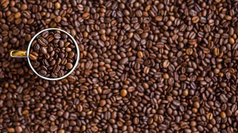 A klímaváltozás a kávéültetvényeket is veszélyeztetheti