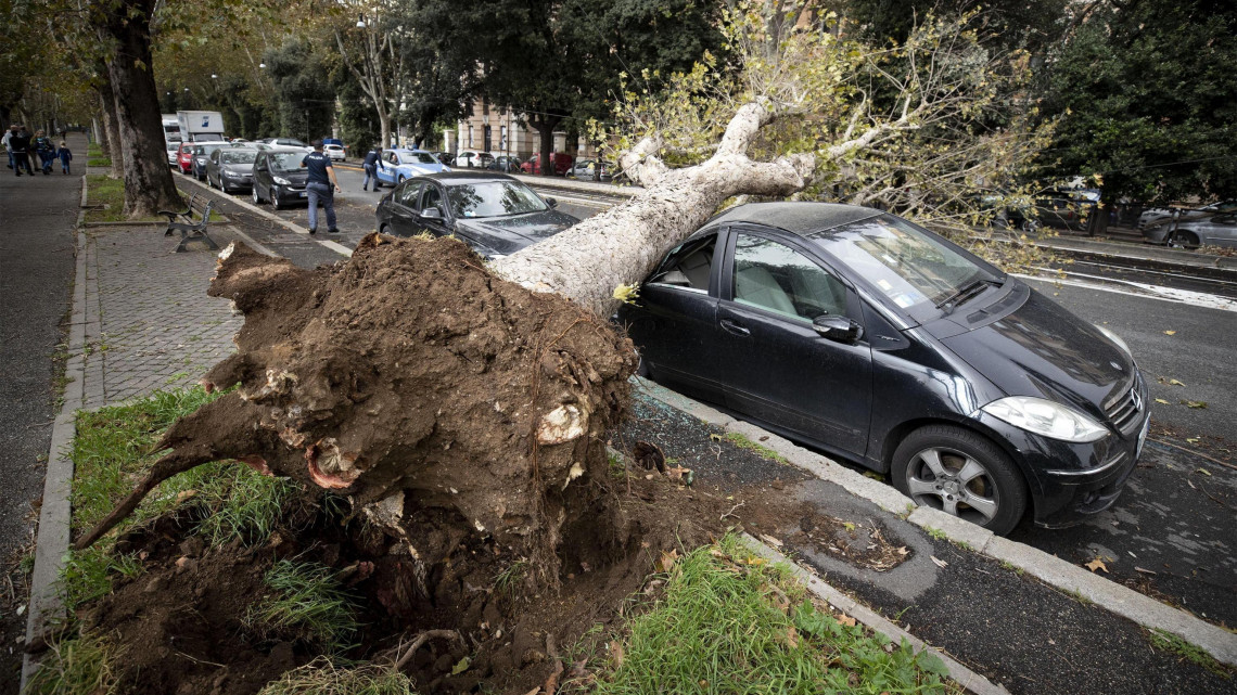 A viharos szél által egy parkoló autóra döntött fatörzs Rómában 2018. október 29-én. Több olasz nagyvárosban is tanítási szünetet rendeltek erre a napra a térségben tomboló heves viharok miatt.