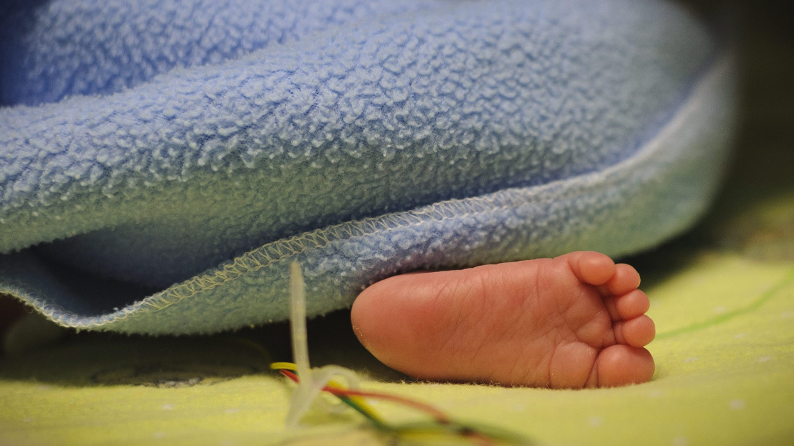 Koraszülött baba lába a Debreceni Egyetem Szülészeti és Nőgyógyászati Klinikájának koraszülött intenzív osztályán a koraszülöttek világnapján, 2015. november 17-én.
