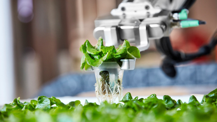 Ételek a robotfarmról - akár sajátunk is lehet a hátsó kertünkben