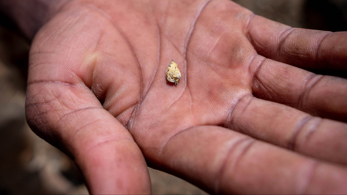 Munhinga, 2018. október 18.A 2018. október 8-i képen apró aranyrögöt mutat egy mozambiki aranyásó, helyi néven garimperio egy lelőhelyen, a Manica tartománybeli Munhingánál. Mozambikban jelentős mennyiségű szén, grafit, kaolin, vasérc, apatit, márvány, bentonit, bauxit, réz, arany, titán, rubin és tantál rejlik kiaknázatlanul a kőzetekben és a talajban. Noha az elmúlt években a kelet-afrikai állam Niassa, a Tete és a Manica tartományainak aranylelőhelyei több hazai és nemzetközi befektető és bányatársaság figyelmét felkeltették, a nemesfém kitermelését továbbra is jellemzően aranyásók és aranymosók végzik hagyományos módszerrel. Manicában mintegy 40 ezer garimperio próbálja a megélhetését biztosítani a hatóságok zaklatása és a politikai nyomásgyakorlás mellett. A kitermelést főként férfiak végzik korszerűtlen eszközökkel, védőfelszerelés nélkül, az aranyérc feldolgozásában azonban nők is segédkeznek. Az olvasztással kinyert fém grammjáért átlagosan tíz amerikai dollárnak (mintegy 2800 forintnak) megfelelő m