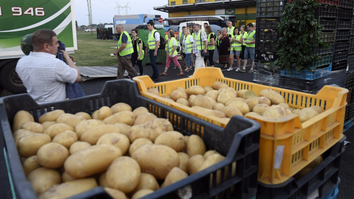 Klímaváltozás: el fog tűnni a krumpli a magyar földből