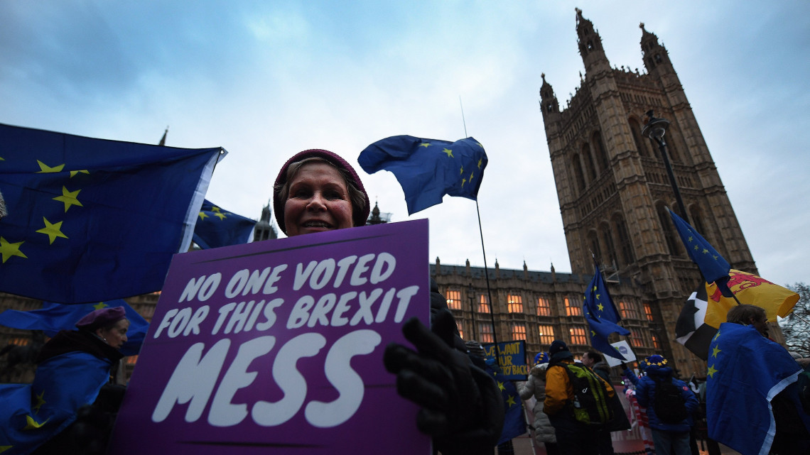 A brit EU-tagság megszűnését (Brexit) ellenző és támogató polgárok tüntetnek a brit parlamentnél a kormánynak a Brexittel kapcsolatban tervezett lépéseiről szóló alsóházi vita idején Londonban 2019. január 29-én. Az alsóház a mai napon szavaz a kormány álláspontját ismertető, január 21-án benyújtott újabb indítványról.