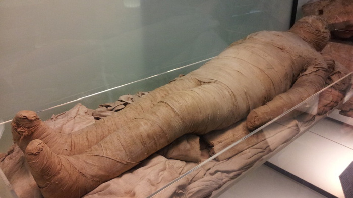 Ősi múmiát találtak egy futár táskájában, a tévé mellett tartotta