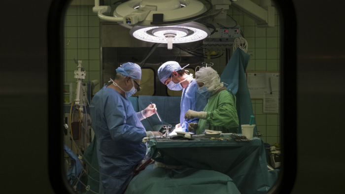 Napi egy szervátültetést végeztek tavaly Magyarországon átlagban