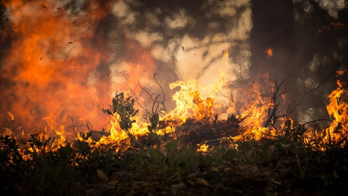 Több mint ezer embert helyeztek biztonságba a tűzvész miatt Gran Canárián