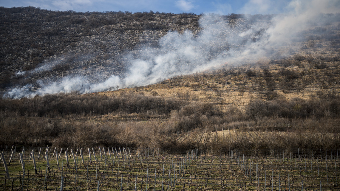 Ég a száraz aljnövényzet a villányi borvidékhez tartozó Nagyharsány külterületén 2019. március 1-jén. A lángok egy közeli erdős részt és szőlőültetvényt is veszélyeztetnek.