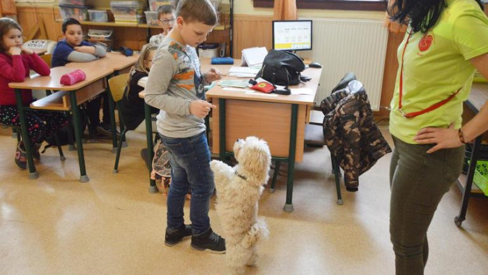 Újdonság az iskolában: kutya segíti az oktatást