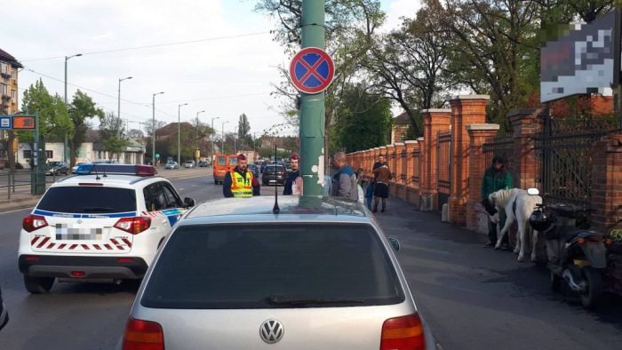 Öt rendőrautó üldözött egy elszabadult pónit Szeged belvárosában