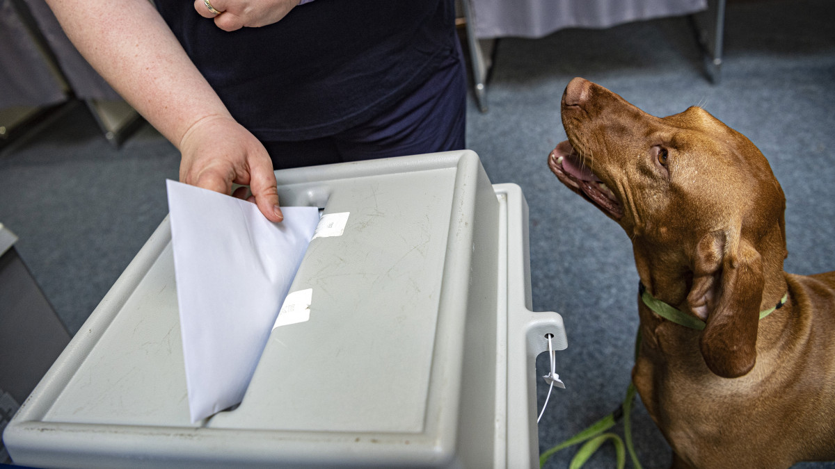 Szavazó kutyájával az európai parlamenti választáson a II. Rákóczi Ferenc Gimnáziumban kialakított 11-es szavazókörben 2019. május 26-án.