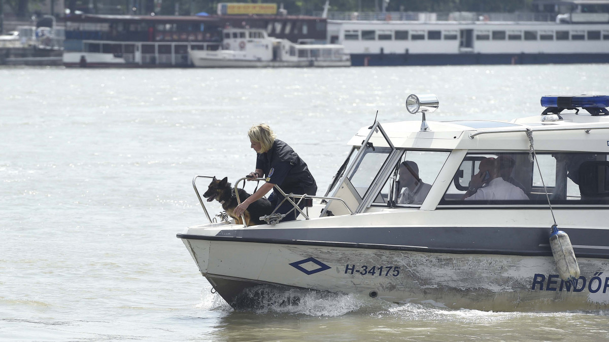 A BRFK Dunai Vízirendészeti Rendőrkapitányság kereső kutyája egy rendőrségi hajón a Dunán Budapestnél 2019. június 7-én. Ezen a napon Prohászka Richárd rendőr alezredes, a BRFK Dunai Vízirendészeti Rendőrkapitányság vezetője sajtótájékoztatóján elmondta, hogy a Dunai Vízirendészeti Rendőrkapitányság több mint 200 kilométernyi Duna-szakaszon 15 hajóval kutatja a dunai hajóbaleset során eltűnteket egészen az országhatárig. A Hableány sétahajó május 29-én süllyedt el a Margit híd közelében, miután összeütközött a Viking Sygin szállodahajóval. A fedélzeten 35-en utaztak, 33 dél-koreai állampolgár és a kéttagú magyar személyzet. Hét embert sikerült kimenteni.