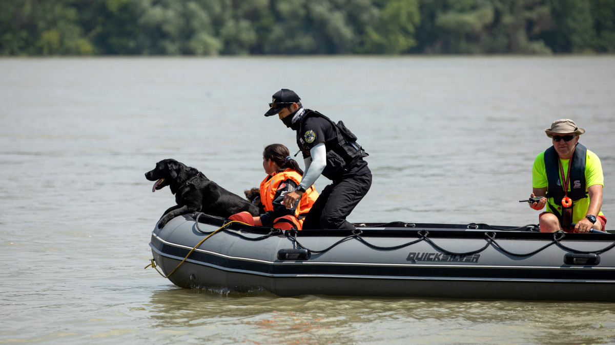 Speciálisan kiképzett személykereső kutya segítségével keresik a Hableány turistahajó május 29-én történt balesetének áldozatait Dunaújváros térségében 2019. június 7-én. A kutatásban a szolnoki Életjel Mentőcsoport és a Miskolci Speciális Felderítő- és Mentőcsoport kutyái mellett a Szegedi Vízimentő és Tűzoltó Szakszolgálat, a Folyami Katasztrófavédelem és Speciális Mentőegyesület tagjai, valamint dél-koreai szakemberek is részt vesznek. A Hableány május 29-én süllyedt el a Margit hídnál, miután összeütközött a Viking Sigyn szállodahajóval. A fedélzeten 35-en utaztak, 33 dél-koreai állampolgár és a kéttagú magyar személyzet. Hét embert sikerült kimenteni, hét dél-koreai állampolgár holttestét pedig még aznap megtalálták. Azóta további tizenkét áldozat, köztük a Hableány matrózának holttestét találták meg és azonosították.
