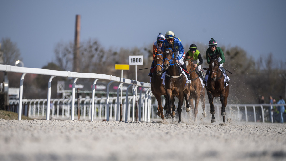 A Galopp Kapunyitó elnevezésű szezonnyitó galoppverseny Tavaszi Hendikep futamának mezőnye a budapesti Kincsem Parkban 2019. március 31-én.