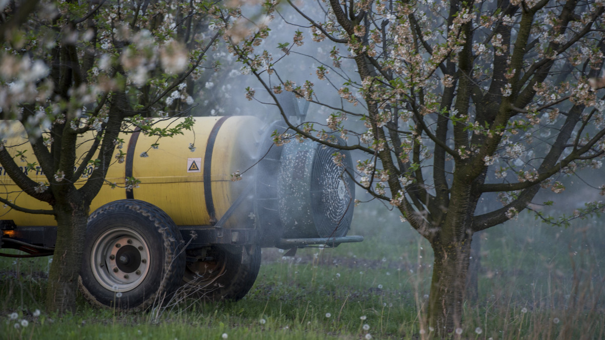 Traktor növényvédőszert permetez a Mokos pincészet meggyültetvényében Palkonyán 2019. április 16-án.