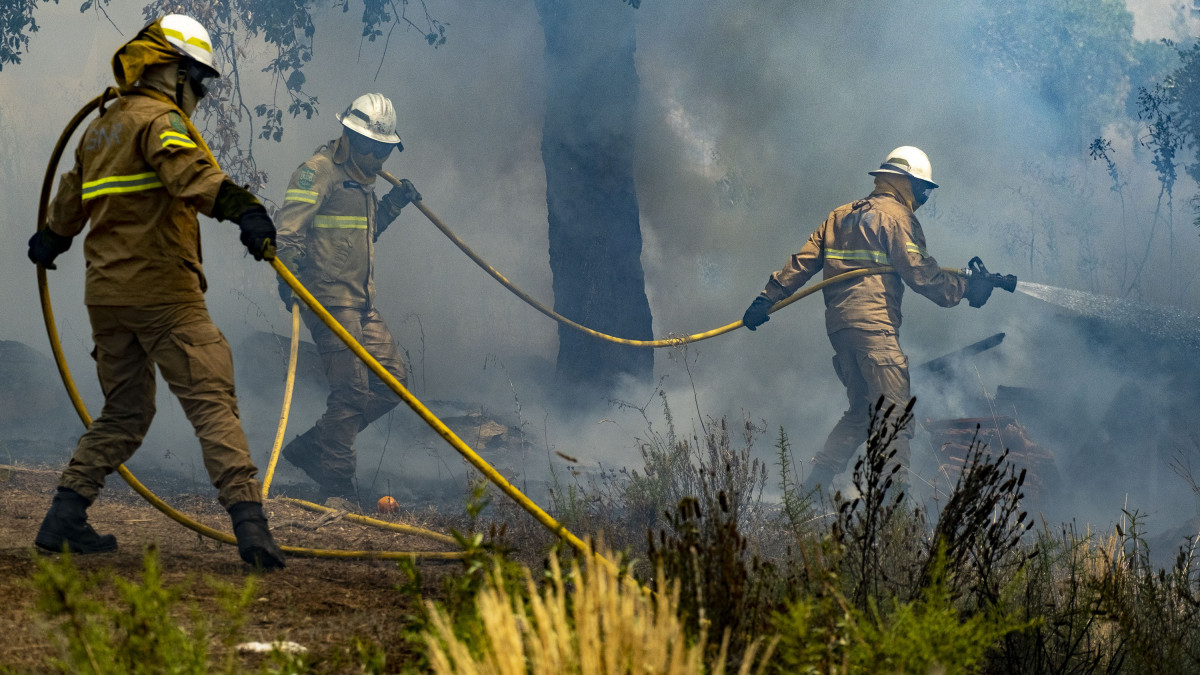 Tűzoltók küzdenek a lángok megfékezésén a portugáliai Colos településnél 2019. július 22-én. Jelenleg több mint ezer tűzoltó vesz részt az ország középső részén tomboló erdőtűz oltásában.