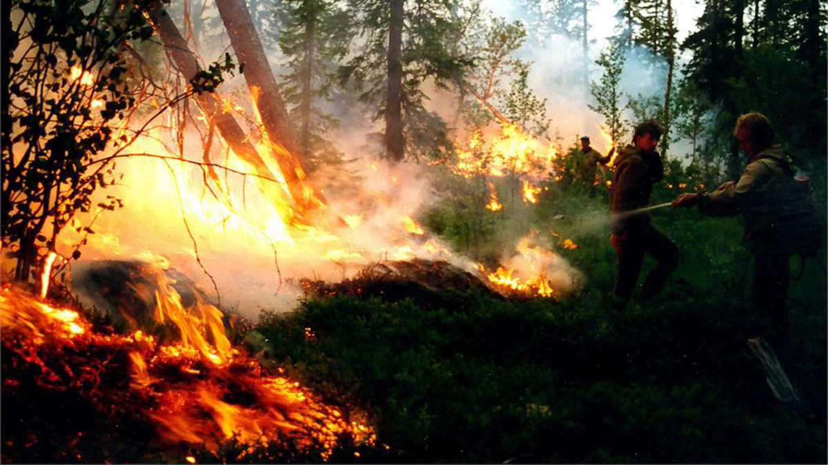 A Szövetségi Légi Erdővédelmi Szolgálat által közreadott képen tűzoltók küzdenek a lángok megfékezésén a Krasznojarszki régióban 2019. augusztus 1-jén. Vlagyimir Putyin orosz elnök elrendelte a hadsereg bevezetését a Szibériában és a Távol-Keleten pusztító erdőtüzek ellen. Oroszországban mintegy 3 millió hektáron ég a növényzet, közel 150 erdőtűz ellen folyik a küzdelem.