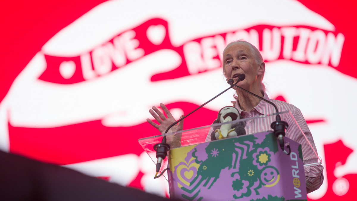 Jane Goodall brit etológus, antropológus, a Jane Goodall Intézet alapítója, az ENSZ békenagykövete előadást tart a 27. Sziget fesztivál Nagyszínpadán  az óbudai Hajógyári-szigeten 2019. augusztus 8-án.