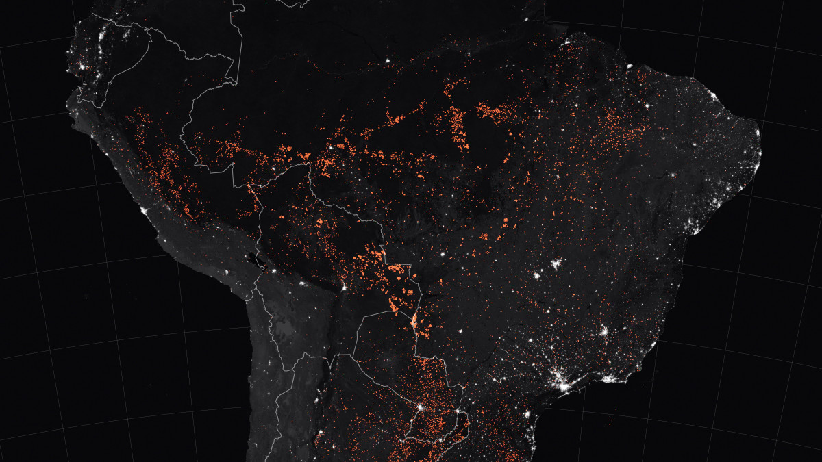 A NASA Earth Observatory által 2019. augusztus 24-én közreadott térkép a brazíliai erdőtüzekről a Terra és az Aqua MODIS műholdak által 2019. augusztus 15. és 19. között megfigyelt területeken. A látható és infravörös tartományban működő képalkotó műszeregyüttes, a VIIRS (Visible Infrared Imager Radiometer Suite) által készített éjszakai felvételen a tüzet a narancssárga színek jelzik, a városok fehérek, az erdős területek feketék, a trópusi szavannák szürke színűek. Az Amazonas vidékén napok óta súlyos erdőtüzek pusztítanak a magas hőmérséklet, a csapadékszegény időjárás, a szárazság, valamint az erdőirtások miatt.