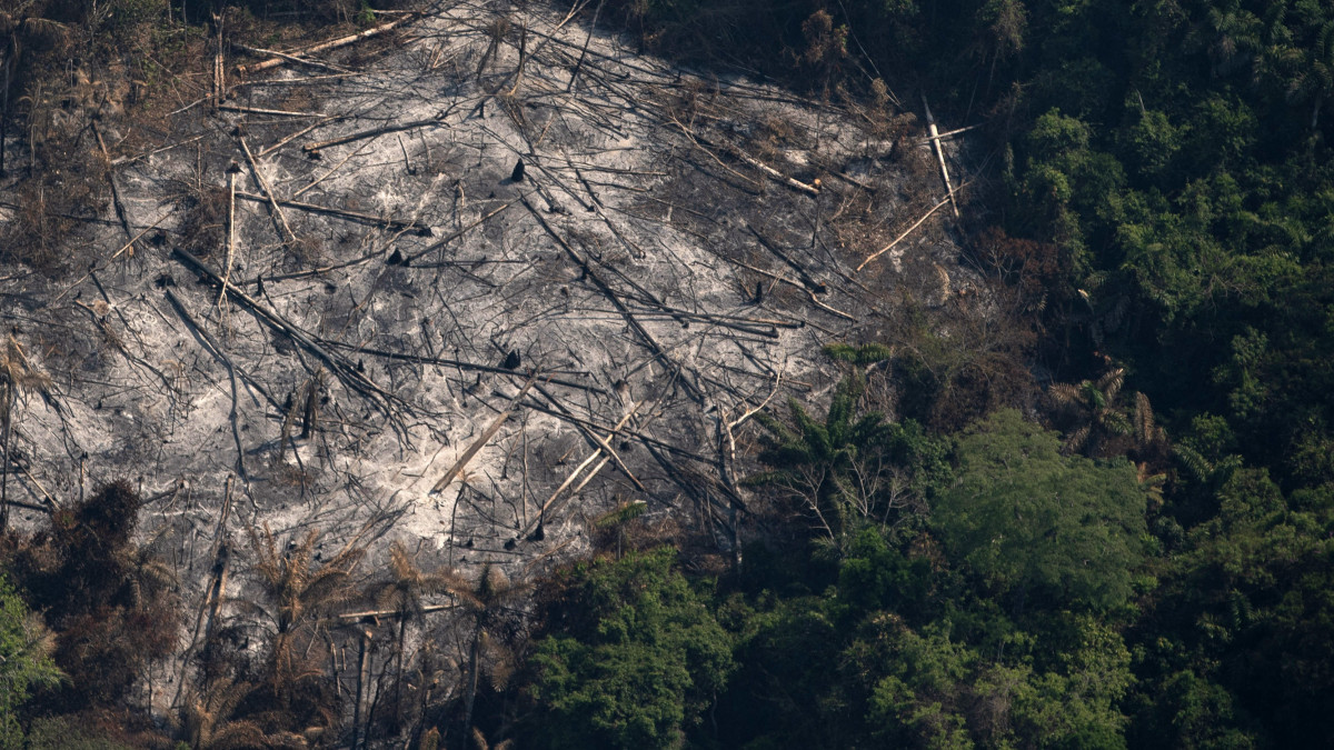 Felperzselt erdő a brazíliai Pará szövetségi államban lévő Altamira közelében 2019. augusztus 28-án. Jair Bolsonaro brazil elnök országos tűzgyújtási tilalmat hirdetett hatvan napra.