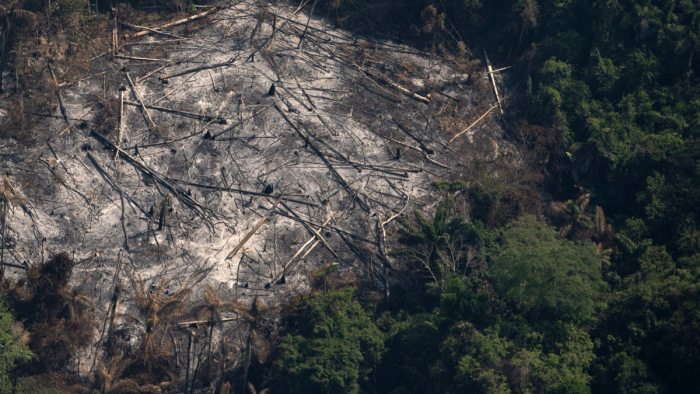 Fákat még nem, katonákat már telepítettek Amazóniába