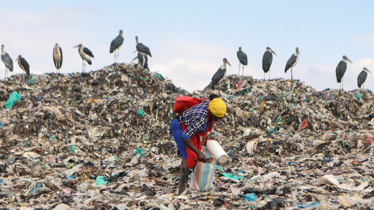 Műanyag palackokat keres egy szeméttelepen guberáló kenyai nő, a háttérben marabuk állnak Nairobiban 2019. június 4-én, a környezetvédelmi világnap előtti napon.