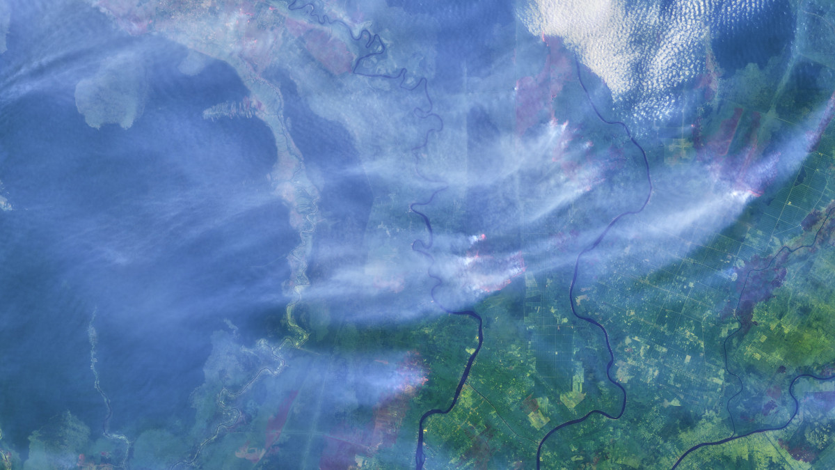 Az amerikai űrkutatási hivatal, a NASA Földi Obszervatóriuma által 2019. szeptember 15-én készített műholdfelvételen füst borítja az indonéziai Borneó szigetének déli olajpálma-ültetvényeit. A borneói Kalimantan tartományban szeptember-októberben rendszerint felperzselik a művelés alá vont földterületeket. Kalimantanban és Szumátrán hetek óta erdőtüzek pusztítanak, amelyek füstje súlyos légszennyezettséget okoz a közeli Szingapúrban, Malajziában és Thaiföldön is.