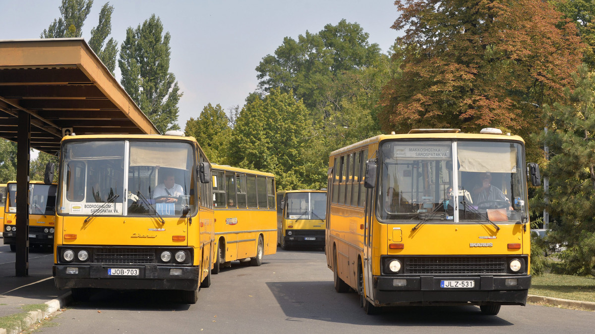 A Borsod Volán Ikarus 200-as autóbuszai a sárospataki autóbusz-végállomáson 2015. augusztus 13-án.