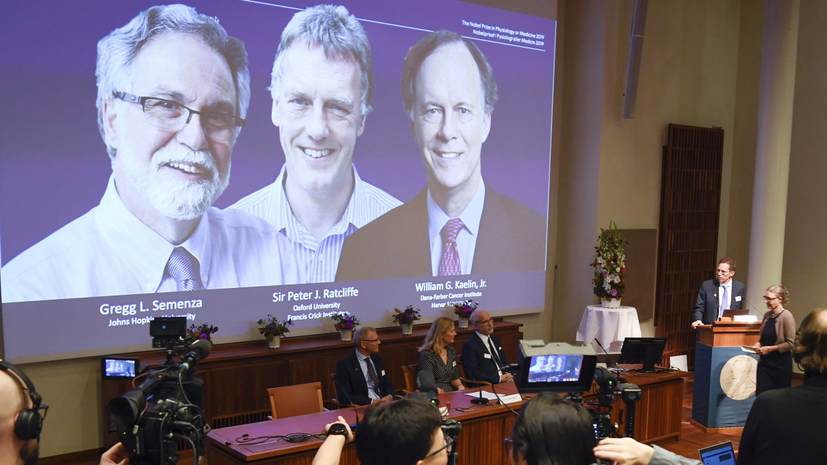 Thomas Perlmann, a Nobel Bizottság főtitkára bejelenti 2019. október 7-én a Svéd Királyi Tudományos Akadémiának az orvosi Nobel-díj odaítéléséről döntő bizottság stockholmi sajtótájékoztatóján, hogy William Kaelin (j), Gregg Semenza amerikai (b) és Sir Peter Ratcliffe brit tudós kapja az idei orvosi-élettani Nobel-díjat. Az illetékes bizottság indoklása szerint a három tudós annak felfedezéséért részesül a legrangosabb tudományos elismerésben, hogy a sejtek miként érzékelik az oxigénszint változását és hogyan alkalmazkodnak hozzá.