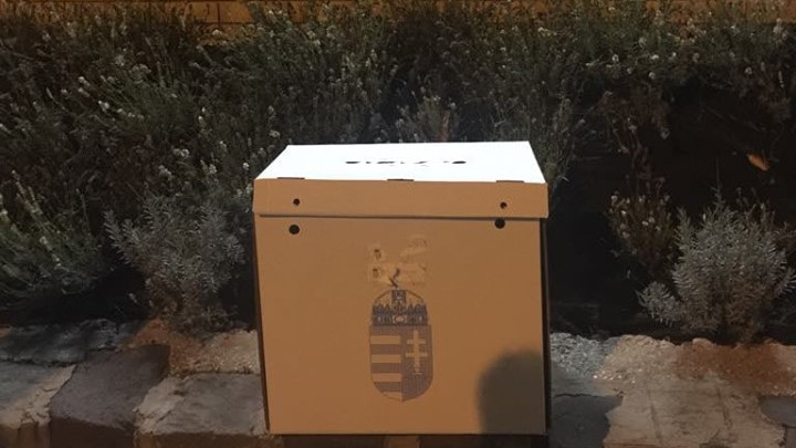 Rejtélyes, üres, de plombált szavazóurnát találtak eldobva Budakeszin