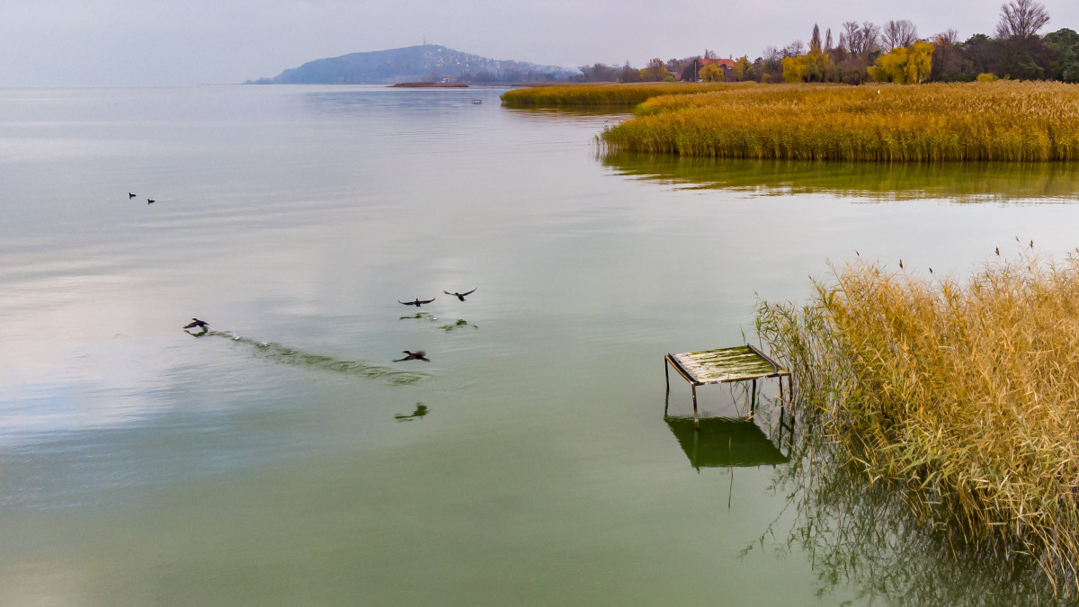 Stég Balatonfenyves közelében 2019. november 22-én. A  jogszabály szerint a stégek október 31-ig maradhatnak a vízben, mert később balesetveszélyesek lehetnek, ha befagy a Balaton.