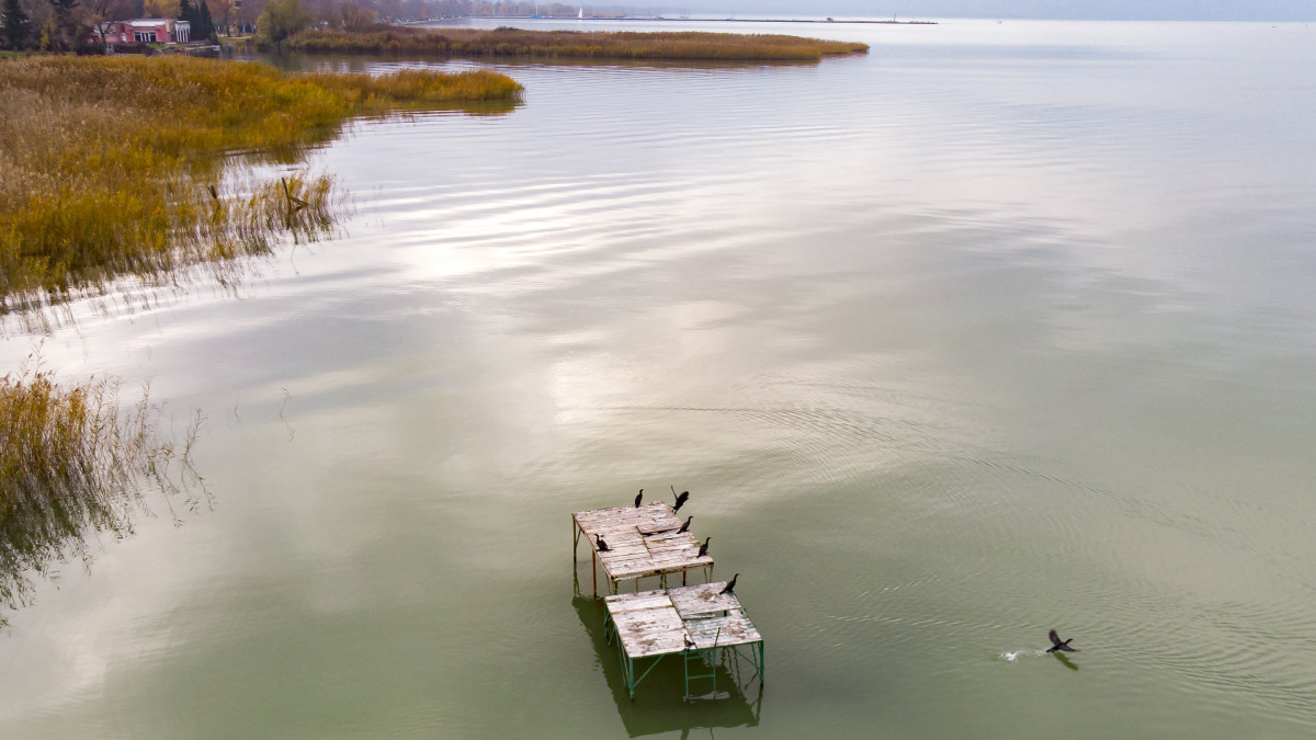 Stégek Balatonfenyves közelében 2019. november 22-én. A  jogszabály szerint a stégek október 31-ig maradhatnak a vízben, mert később balesetveszélyesek lehetnek, ha befagy a Balaton.