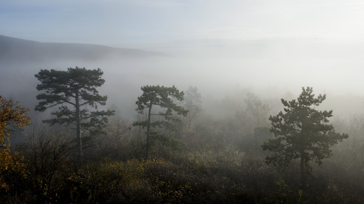 Talaj menti köd Mátrafüredről fotózva 2019. november 14-én.