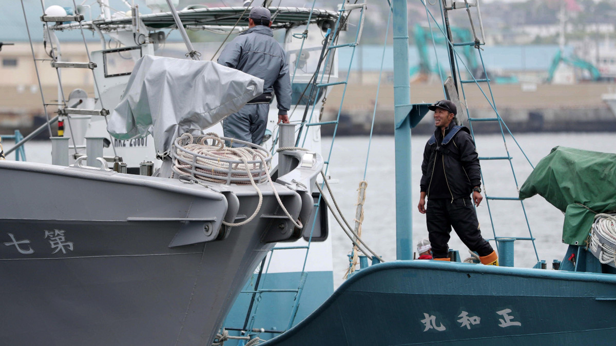 Japán bálnavadászok beszélgetnek, mielőtt kihajóznak a Hokkaido szigetén fekvő Kusiróból 2019. július 1-jén. Japán 2018 decemberében lépett ki a Nemzetközi Bálnavadászati Bizottságból (IWC) abból a célból, hogy három évtized után felújíthassa a kereskedelmi célú bálnavadászatot. A kilépés január 1-jén lépett hatályba, ami azt jelenti, hogy július 1-től ismét megkezdhetik a vadászatot.