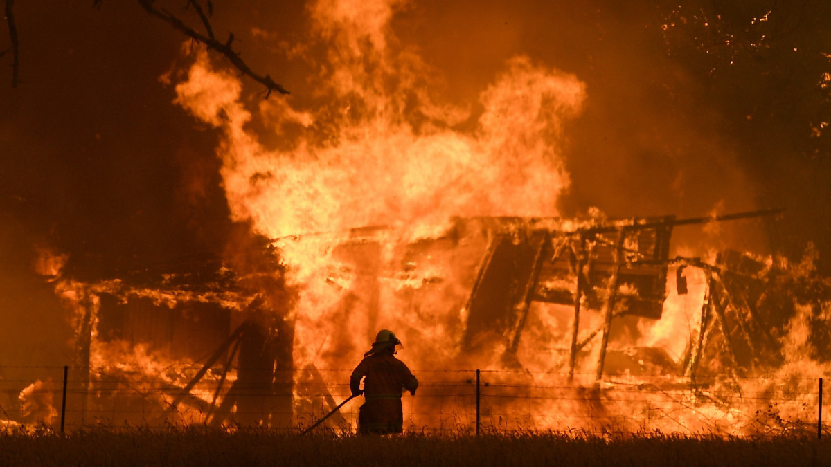 Tűzoltó dolgozik egy lángoló épületnél az Új-Dél-Wales állambeli Bilpinnél 2019. december 21-én, amikor szükséghelyzet van érvényben a szövetségi államban az erdőtüzek és a rendkívüli hőség miatt. Az országban október közepén fellángolt bozóttüzekben nyolc tűzoltó vesztette életét, hat súlyosan megsérült. A megsemmisült otthonok száma hétszáz, a hivatali és gazdasági épületeké kétezer. A kontinensen kétszáz helyen pusztít a tűz.