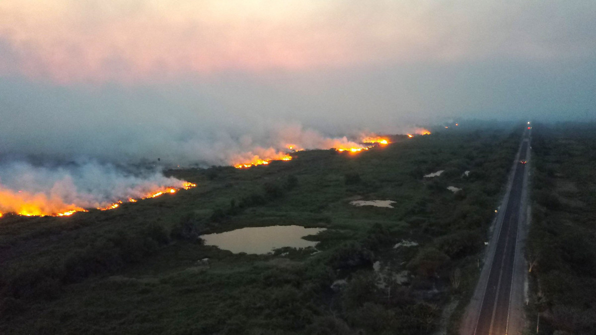 Lángok pusztítják a növényzetet az Amazonas-medencében, a brazíliai Mato Grosso szövetségi államban lévő Pantanal közelében 2019. október 31-én. A Brazil Űrkutatási Intézet (INPE) szerint az idén már csaknem kétszer annyi esőerdő pusztult el Brazíliában, mint a múlt év hasonló időszakában.