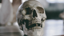 Emberi koponyát találtak a balesetben felborult autóban