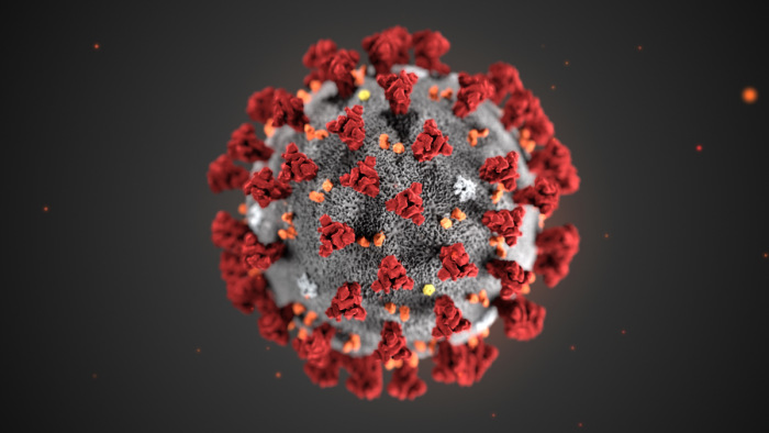 Koronavírus: még egy érv a laborelmélet mellett