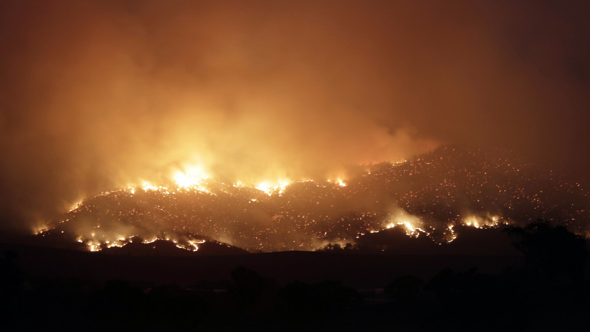 Tűzvész pusztít az ausztrál fővárostól, Canberrától délre fekvő Clear Range közelében 2020. január 31-én. A tűz miatt a hatóságok szükségállapotot hirdettek az Ausztrál Fővárosi Területen.