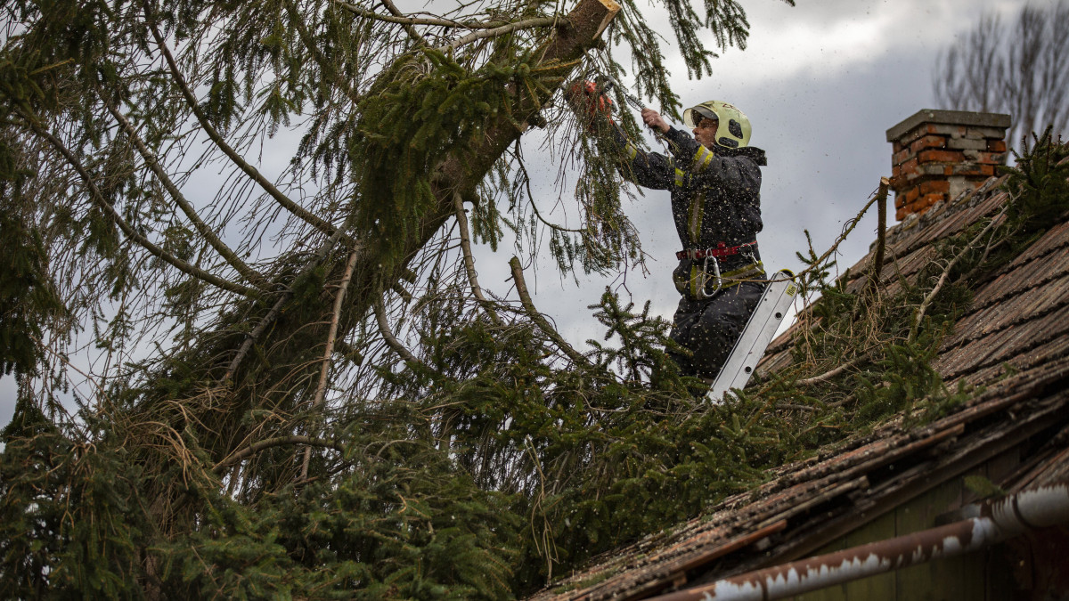 Házra dőlt fa eltávolításán dolgozik egy tűzoltó vihar után a Zala megyei Söjtörön, a Deák Ferenc utcán 2020. február 10-én.
