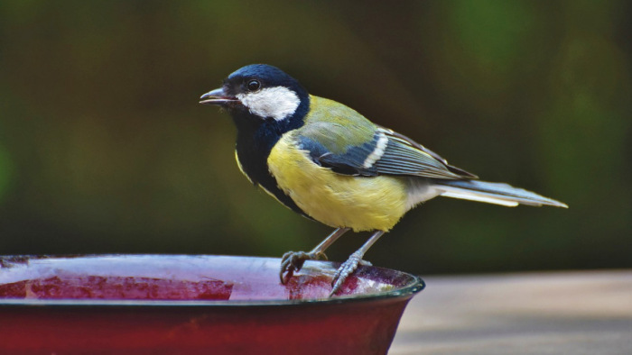 Már a postaládánkban lapulhat ez a különleges csomag