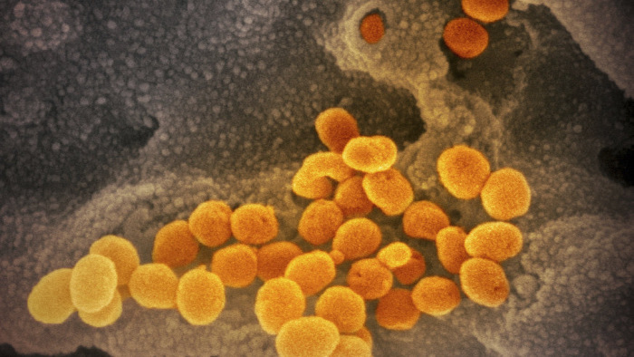 Koronavírus – Szlovákiában is felbukkant a fertőzés, pániktól tartanak