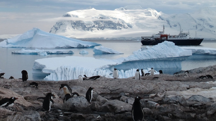 Koronavírus - Már csak az Antarktisz vírusmentes