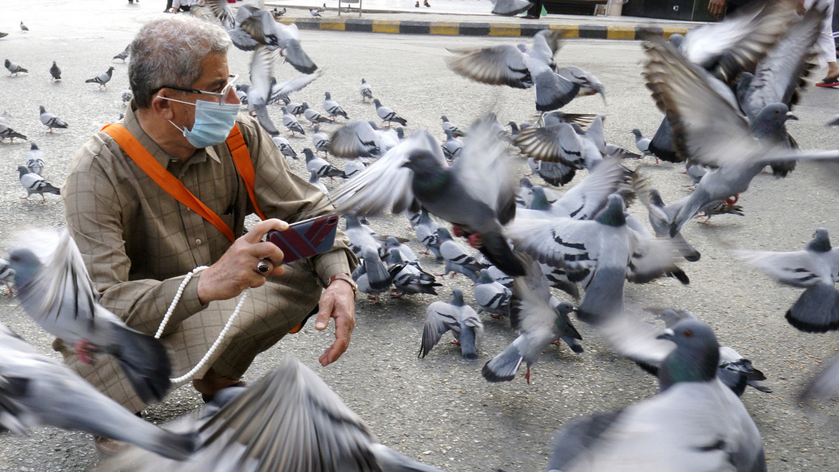 Védőmaszkot viselő muzulmán zarándok galambokat fényképez a Nagy Mecset előtt a szaúd-arábiai Mekkában 2020. március 5-én. Az országban a koronavírus-járvány terjedése miatt már nem csak a külföldi látogatóknak, hanem a helyi lakosoknak is megtiltották, hogy Mekkába látogassanak. A muzulmánok az éves mekkai zarándoklaton, a háddzson kívül kisebb zarándoklatokat is elvégezhetnek, amelyek nincsenek időponthoz kötve.