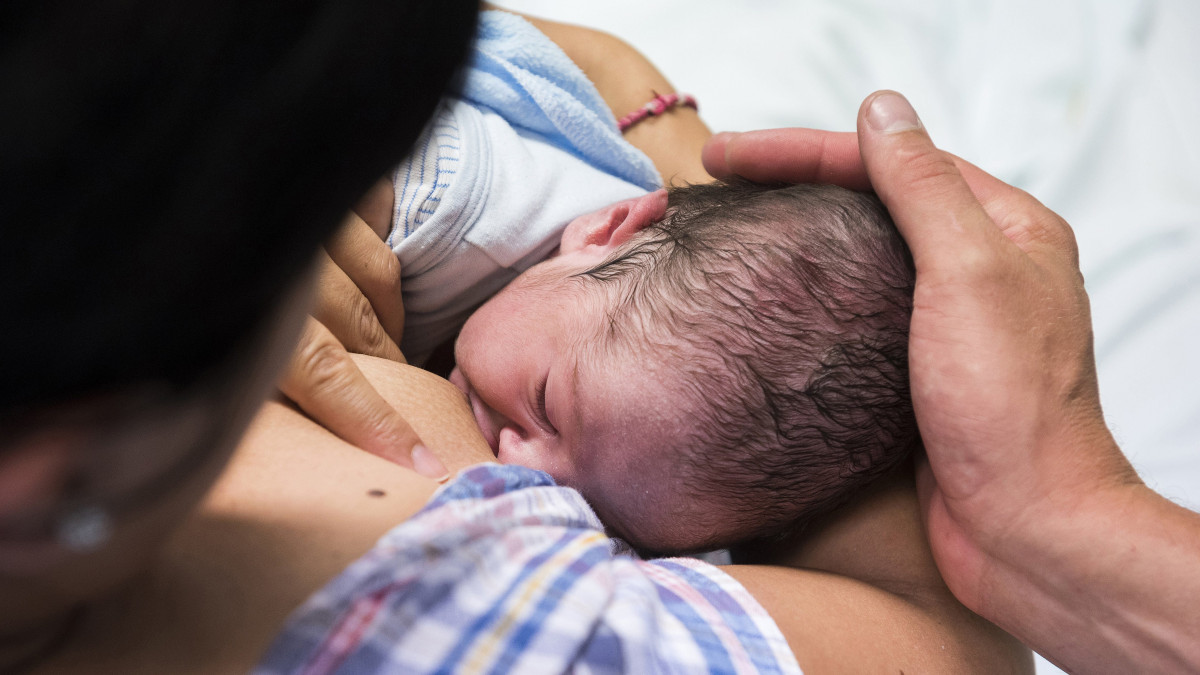 Kóczon Levente anyatejet eszik születése után a nyíregyházi Jósa András Oktató Kórház Szülészet-Nőgyógyászati Osztályának szülőszobájában 2017. július 25-én.
