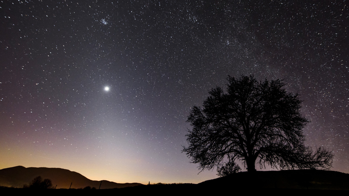 Az állatövi fény és a Vénusz látható az égbolton Salgótarján közeléből fotózva 2020. március 15-én. A fényjelenséget a bolygóközi porfelhőről visszaverődő napfény okozza. Az állatövi fényt a mérsékelt övi területekről februárban és márciusban napnyugta után, illetve szeptemberben és októberben napkelte előtt lehet látni.
