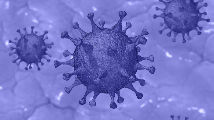 Egy tini felfedezése segíthet a koronavírus elleni harcban