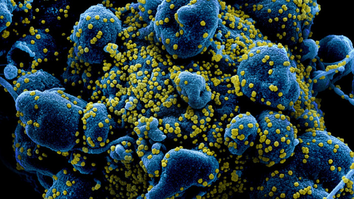 Már nyolc mutációja van az új koronavírusnak amerikai kutatók szerint