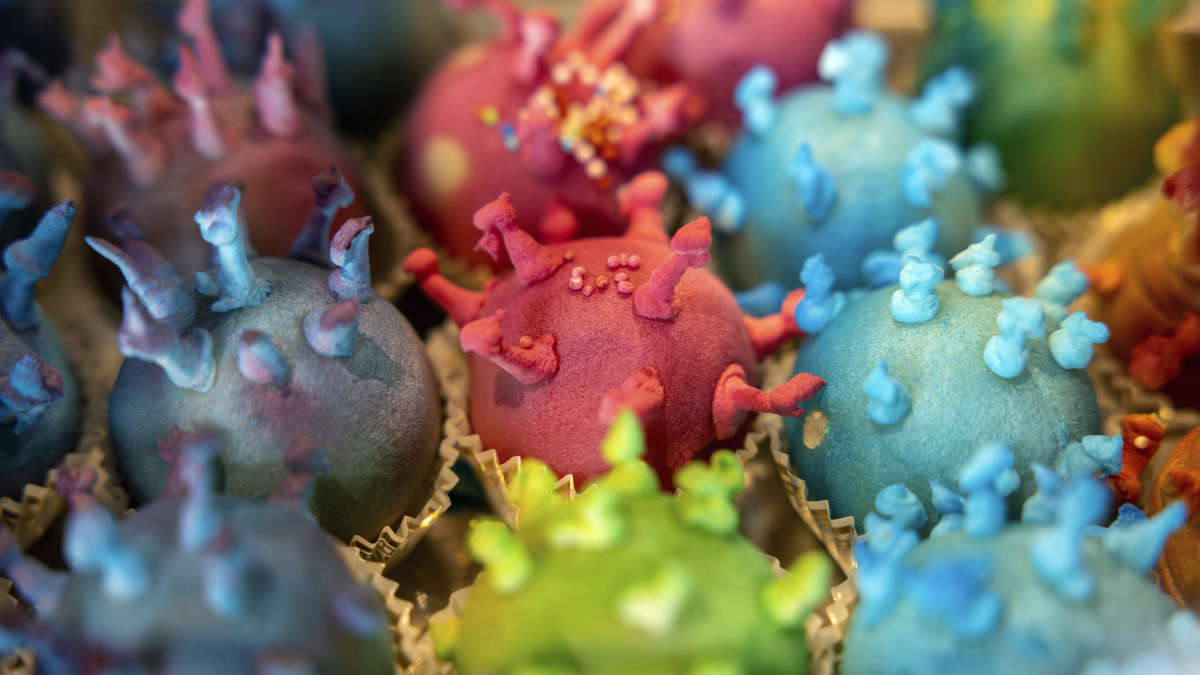 Az új koronavírus mikroszkópikus képe alapján megformázott bonbonok egy erfurti cukrászdában a koronavírus világjárványának idején, 2020. április 4-én.