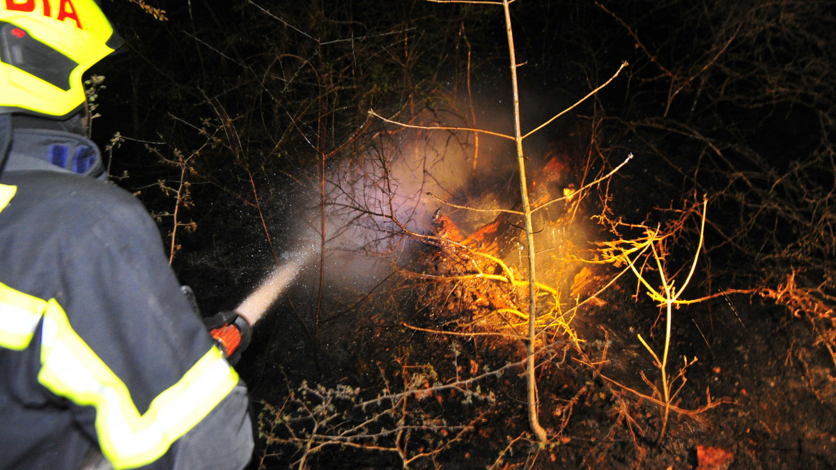 Tűzoltó a budaörsi erdőtűznél 2020. április 10-én. Az erdőben hat hektáron ég az aljnövényzet.